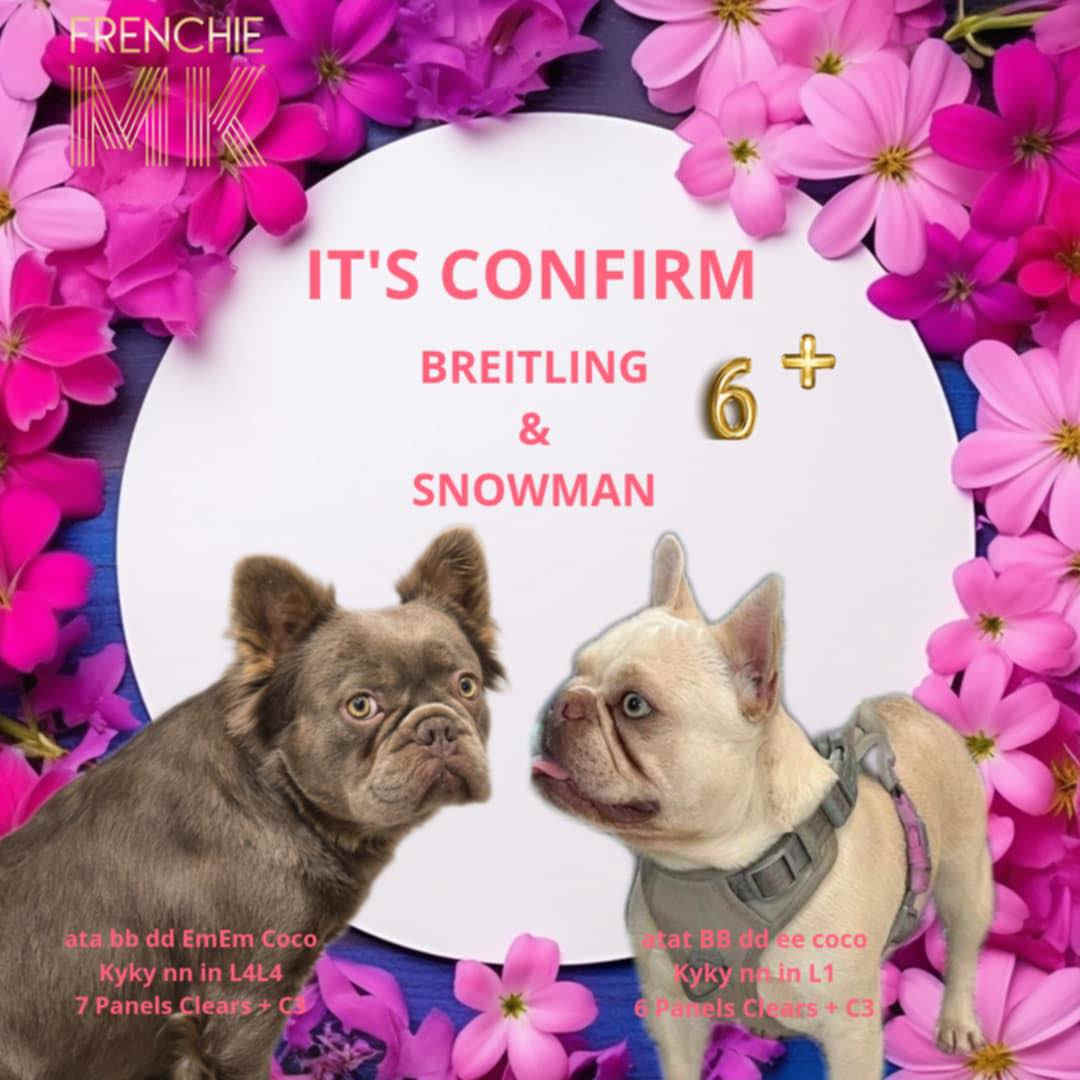 portée à venir - Breitling & Snowman