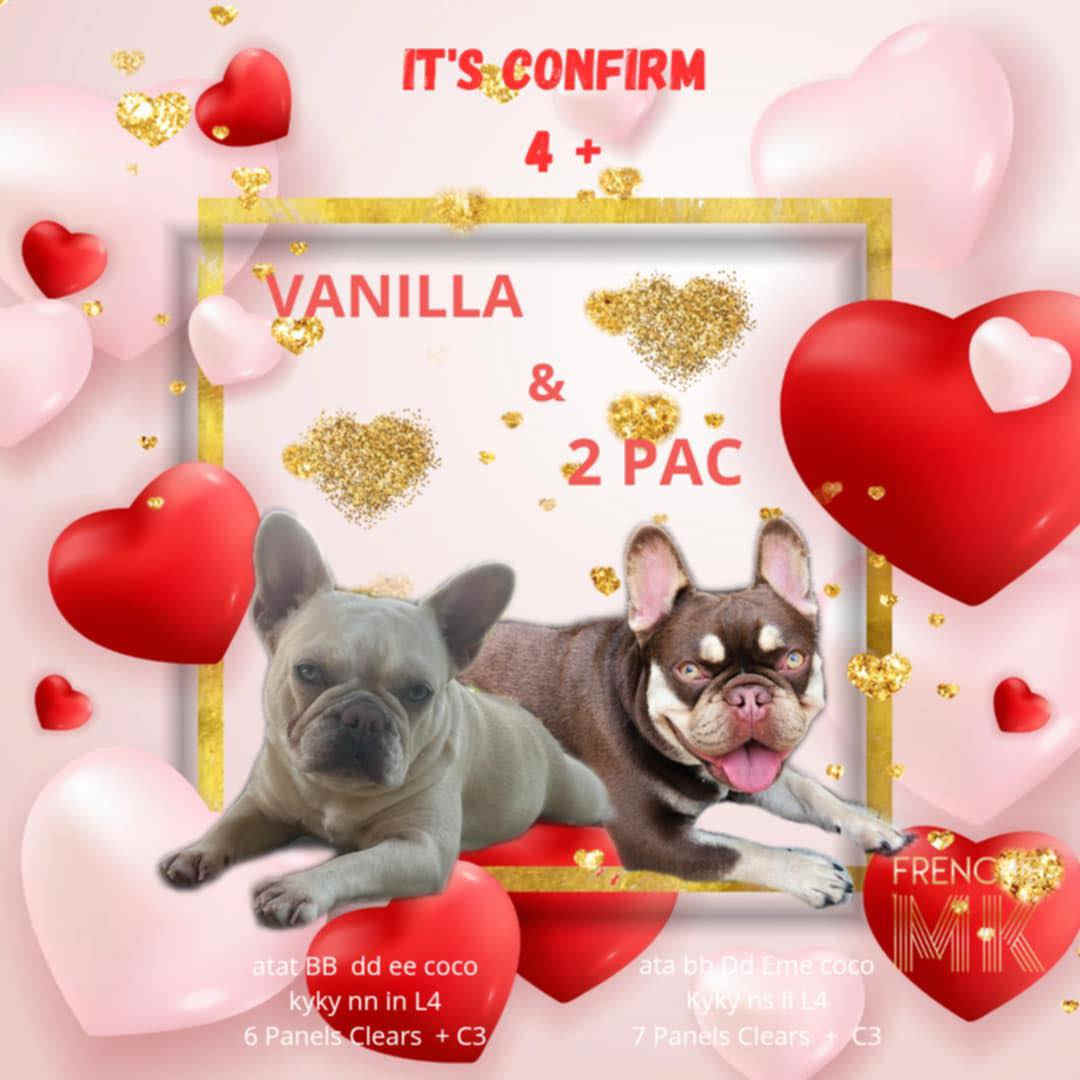 portée à venir - Vanilla & 2 PAC